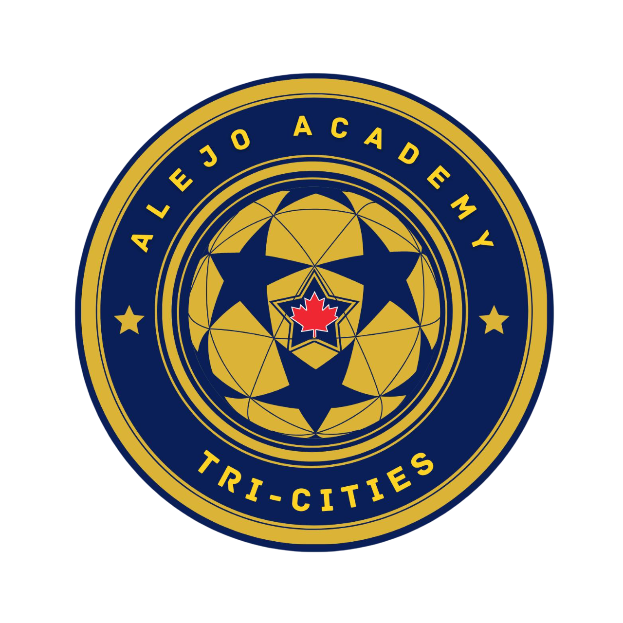 Alejo Academy Logo