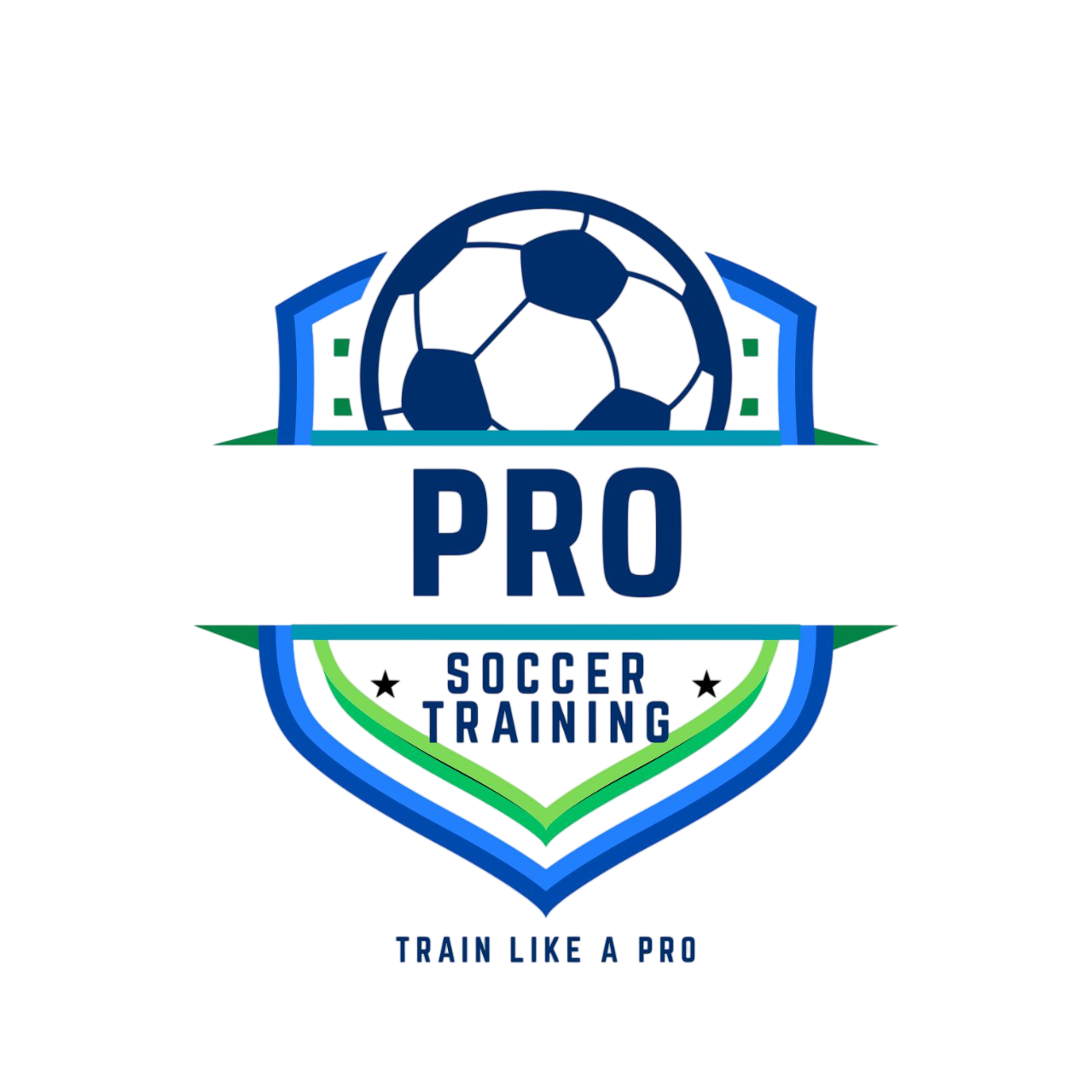 Pro Soccer Training Logo